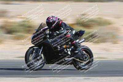 media/Apr-10-2022-SoCal Trackdays (Sun) [[f104b12566]]/Speed Shots Back Straight (930am)/